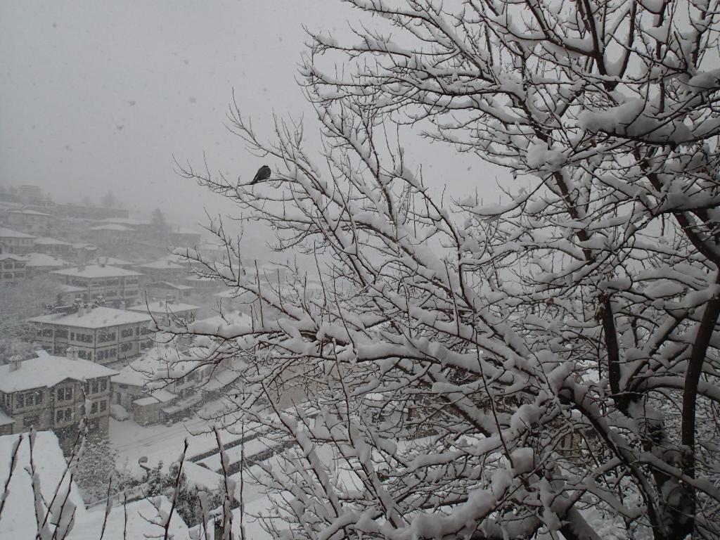 Efe Guest House Safranbolu Esterno foto